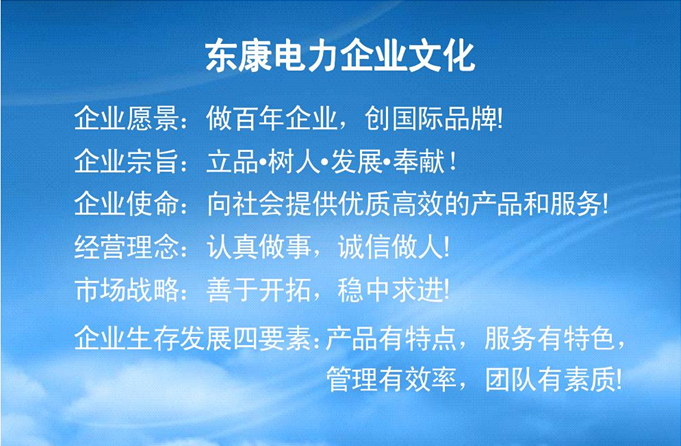 东康电力企业文化